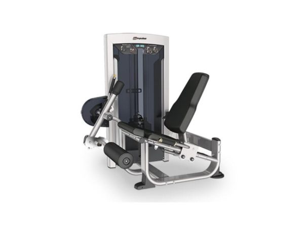 FE9705 Leg Extension