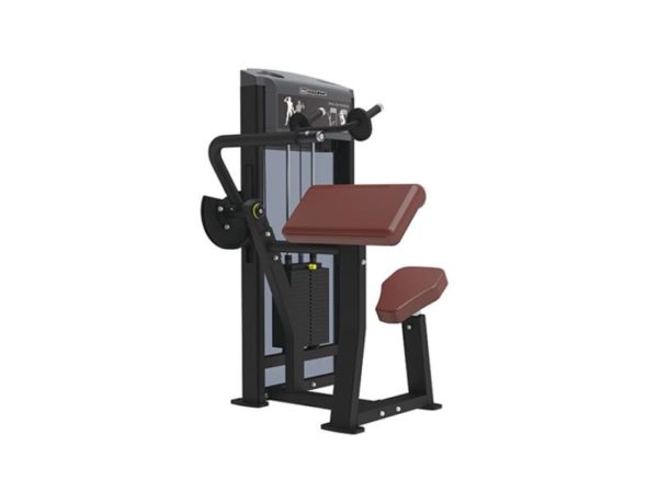 ARM EXTENSION