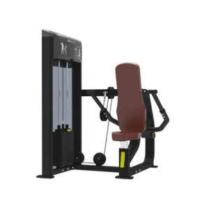 SEATED DIP