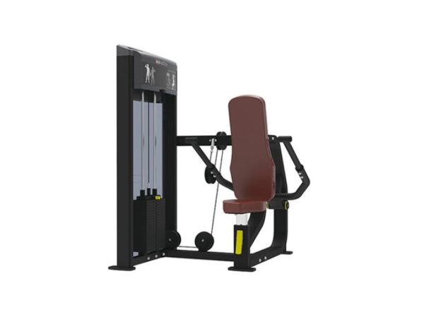SEATED DIP