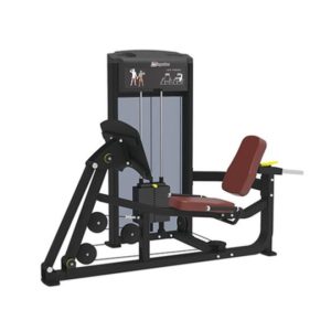 LEG PRESS /CALF RAISE