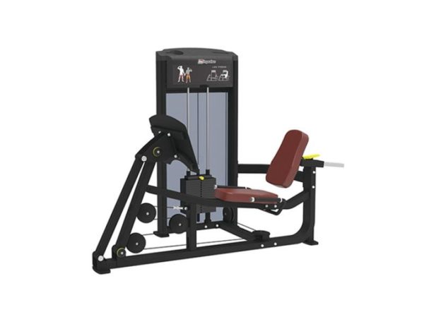 LEG PRESS /CALF RAISE