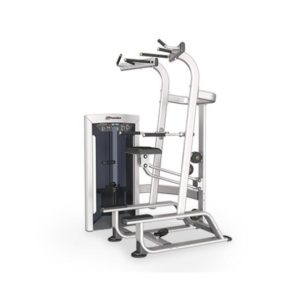 FE9720 Weight Assisted Chin/Dip Combo
