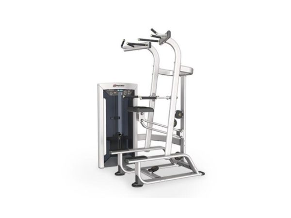 FE9720 Weight Assisted Chin/Dip Combo