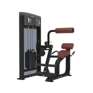 BACK EXTENSION