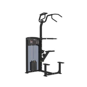 WEIGHT ASSISTED CHIN / DIP COMBO