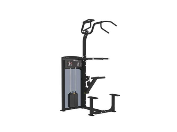WEIGHT ASSISTED CHIN / DIP COMBO