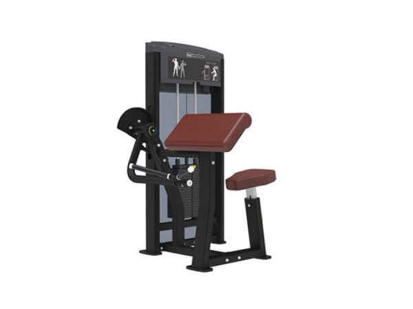 IF9303 ARM CURL
