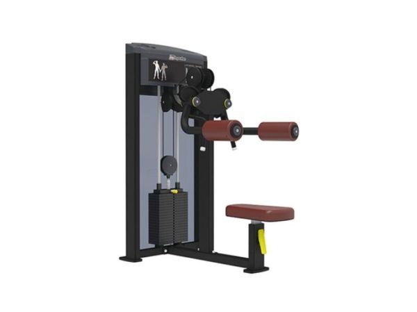 LATERAL RAISE
